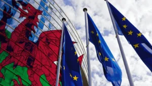 Brexit: Fears EU law axe could side-line Welsh Parliament