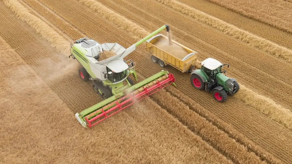 Farmers and those post-Brexit border checks