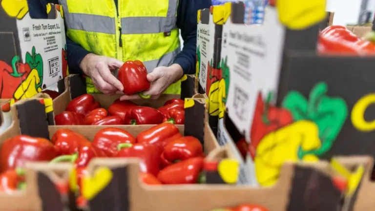 New Brexit food checks will test Britain’s supply chains