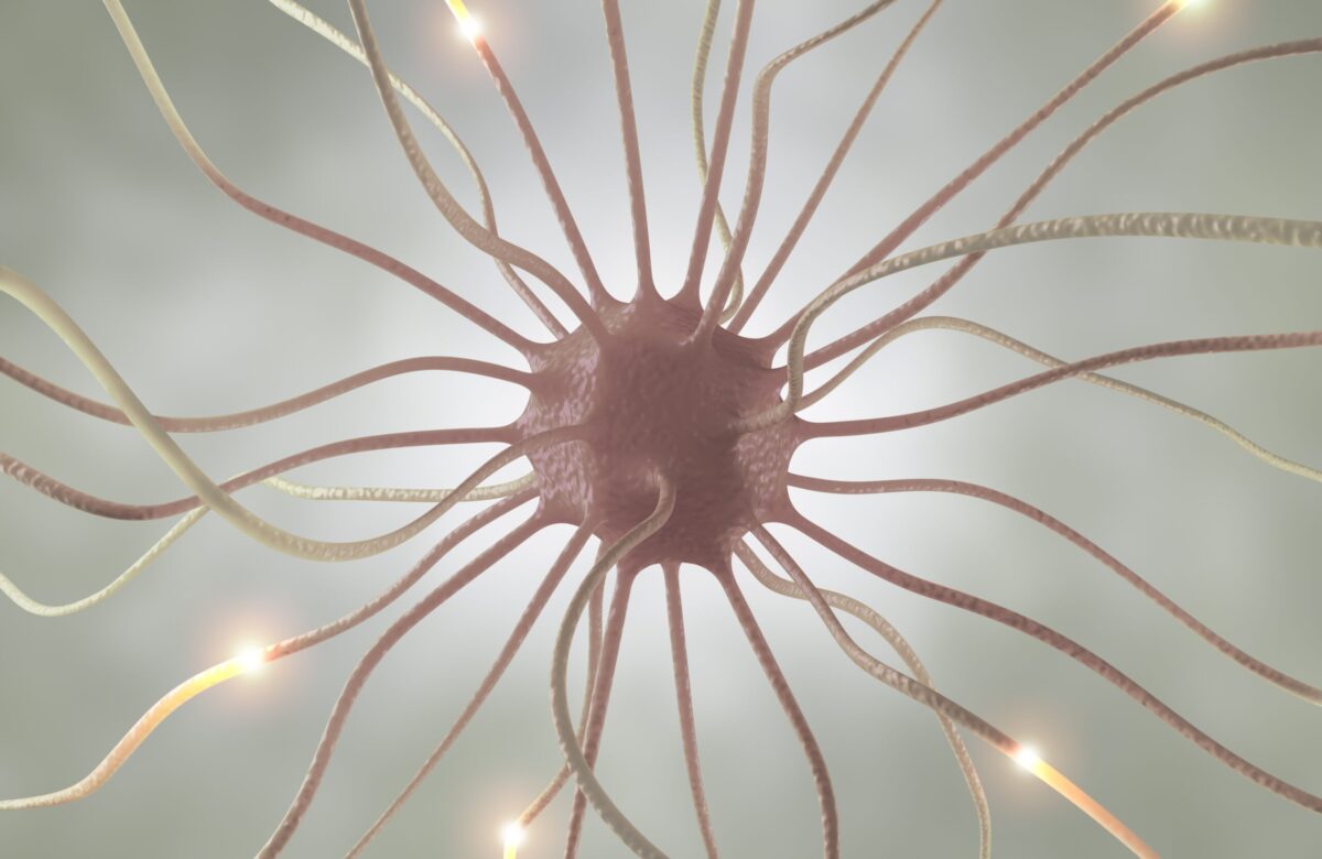 ‘Pamela’ 43 Case Study