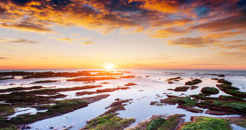 Reform's Welsh leader confirms manifesto costings U-turn